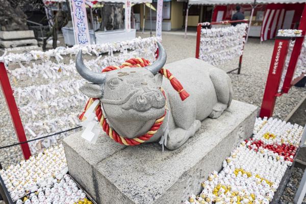 山田天満宮　撫で牛