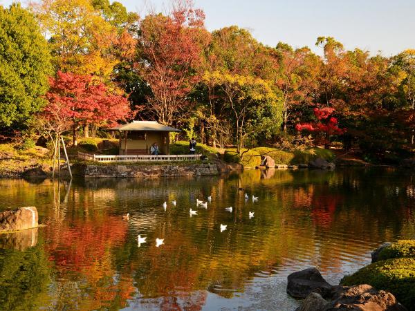 白鳥庭園