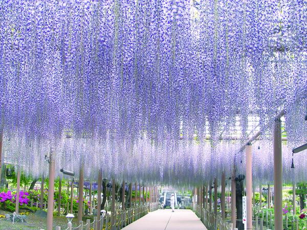 曼陀羅寺公園、江南市