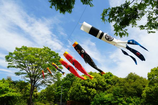 白鳥庭園 夢こいのぼり