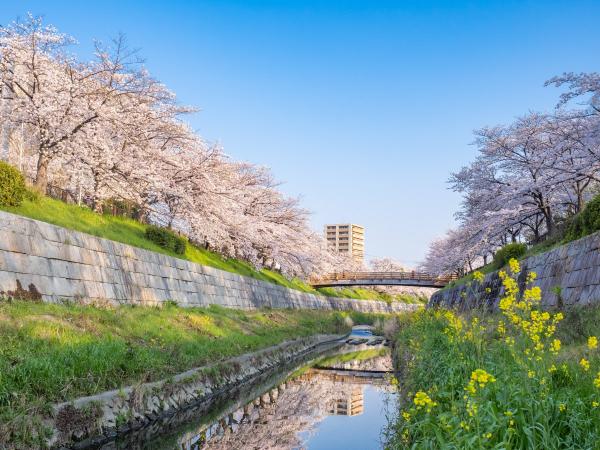 Banks of the Yamazaki River