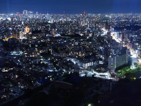 東山スカイタワー