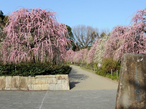 Nagoya City Agricultural Center dela Farm