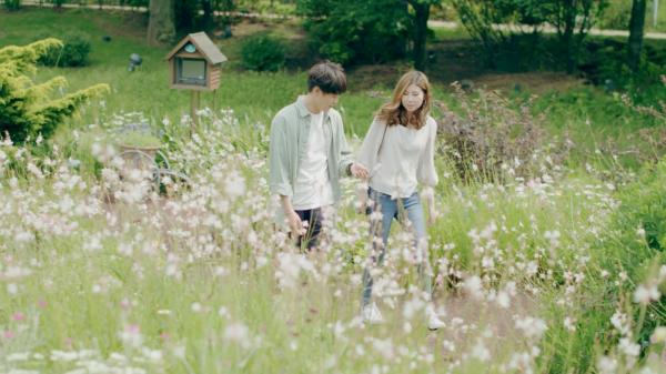 Nagoya Port Wildflower Garden Bluebonnet