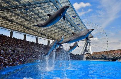 名古屋港水族館「生き物情報局」