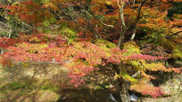 定光寺・定光寺公園