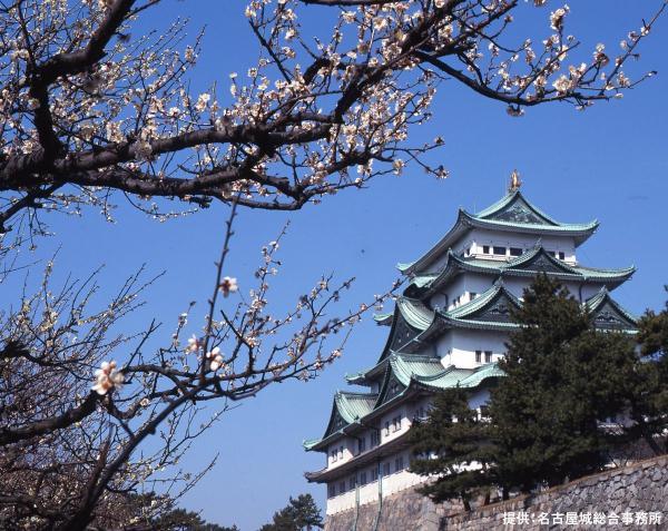 Nagoya Castle plum blossoms