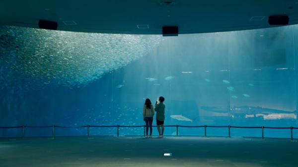 名古屋港水族館