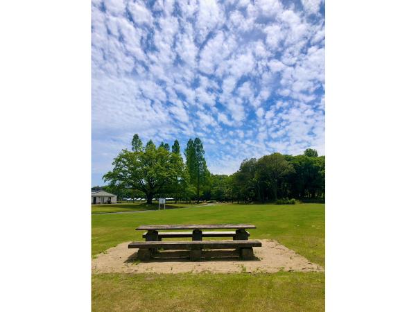 庄内緑地 ピクニック広場B