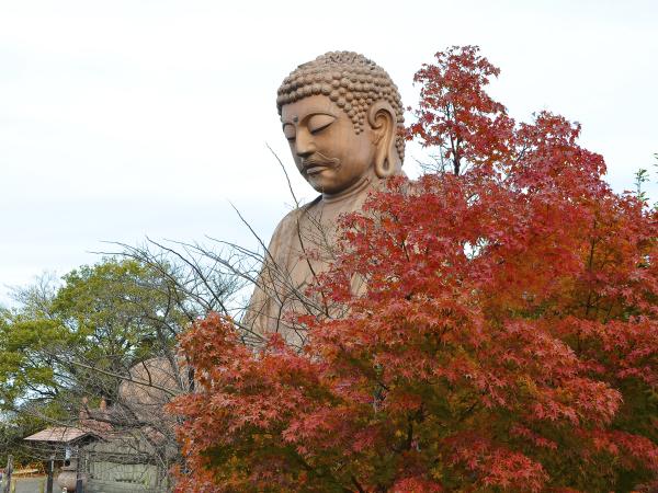 聚楽園