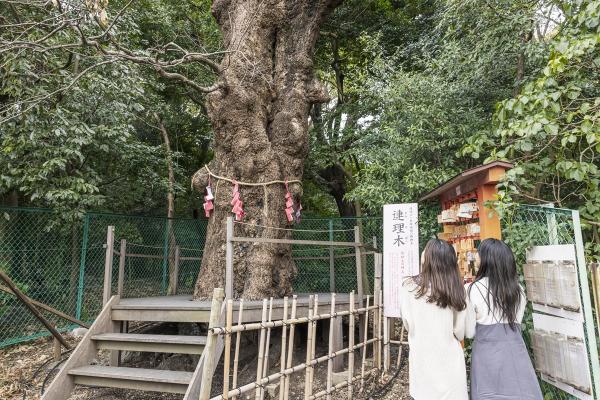 城山八幡宮　恋の三社めぐり