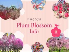 Plum Blossom Information