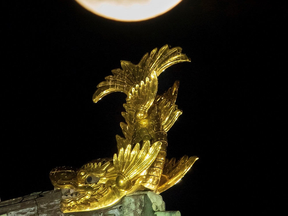名古屋城金鯱展 | 【公式】名古屋市観光情報「名古屋コンシェルジュ」