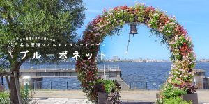 名古屋港に浮かぶ癒しの庭　名古屋港ワイルドフラワーガーデン　ブルーボネット