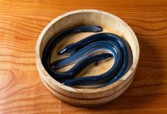 Sumiyaki Unafuji Nagoya Station Taikoguchi