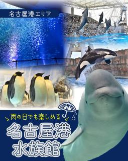 @nagoya_info