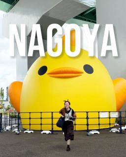 @nagoya_info