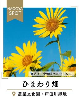 @nagoya_info