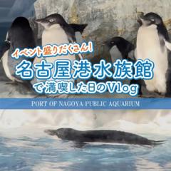 @nagoya_info
