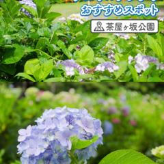 @nagoya_info