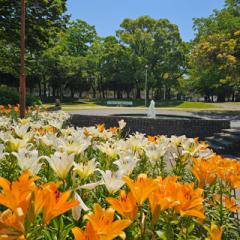 @nagoya_info