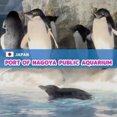 @nagoya_info_en