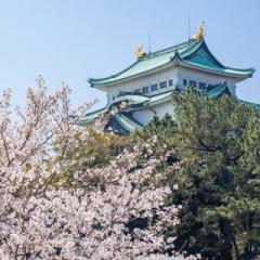 @nagoya_info