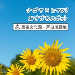@nagoya_info