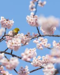 @nagoya_info