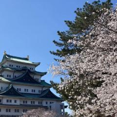 @visitnagoyalover
