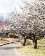 @nagoya_info