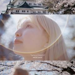 @visitnagoyalover