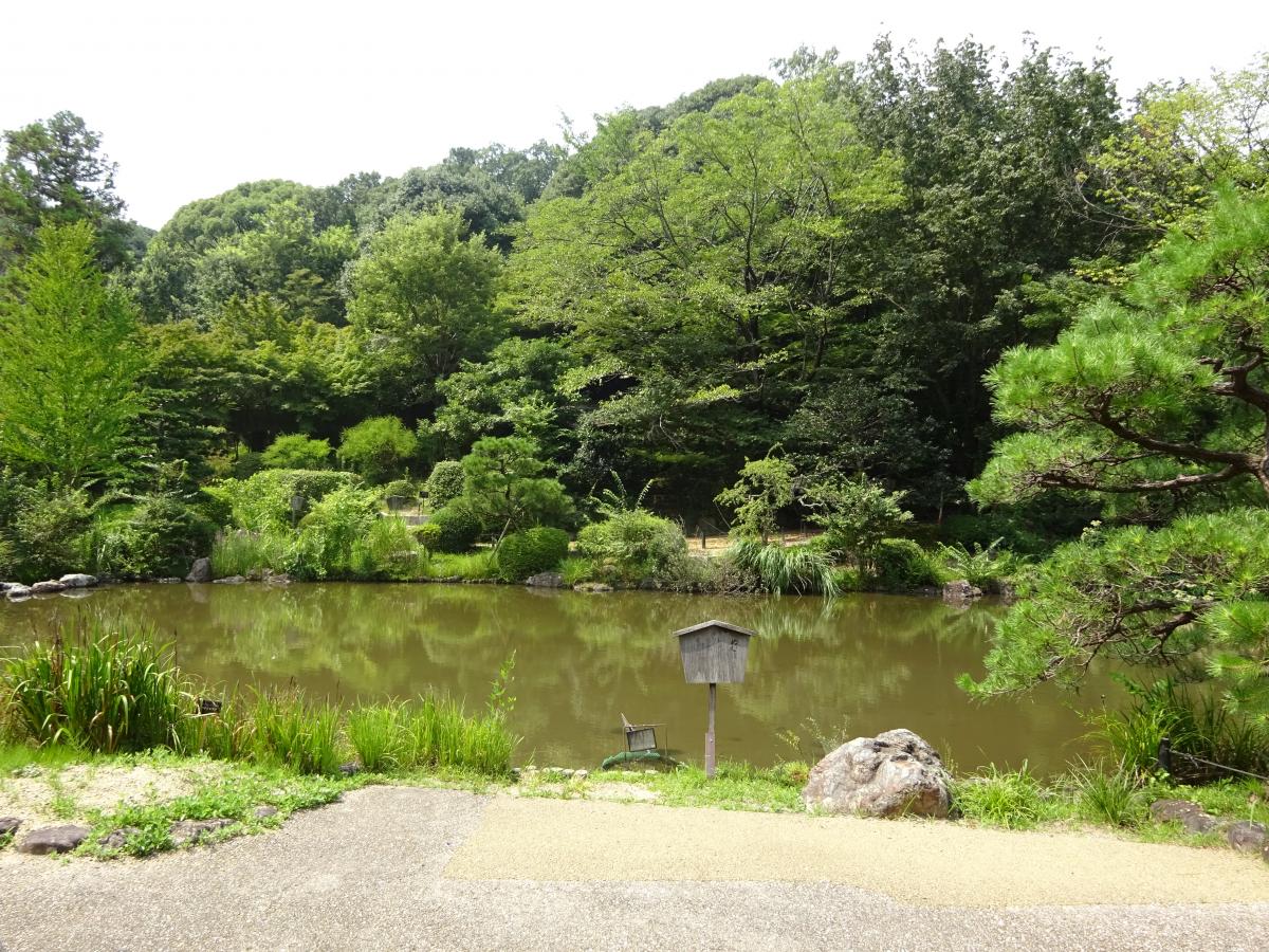 植物園（日本庭園）