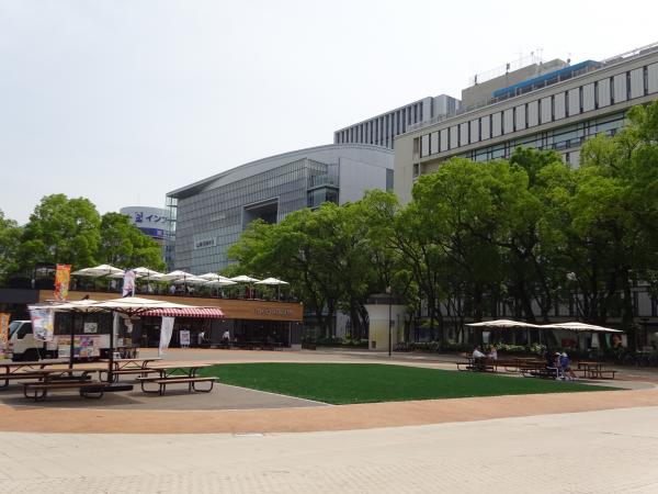 ミツコシマエヒロバス