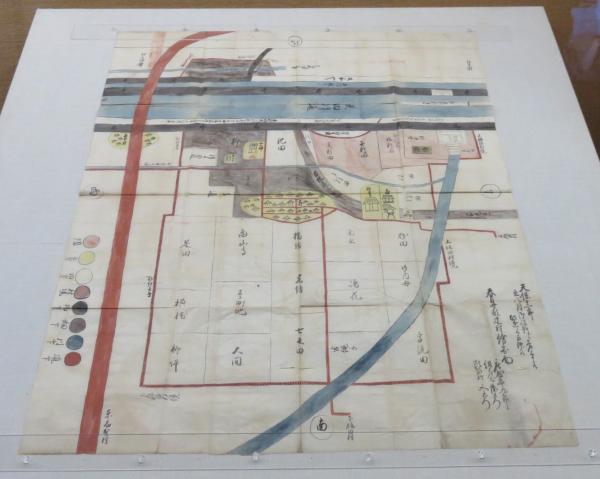 企画展「博物館イキ!」
