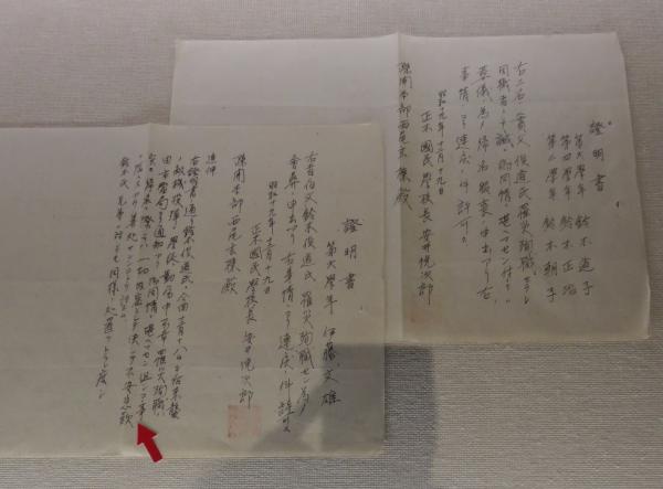 企画展「博物館イキ!」