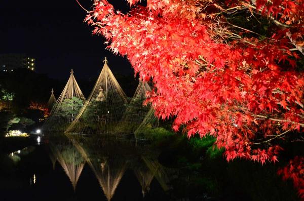 白鳥庭園あかりアート