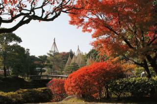 白鳥庭園　観楓会