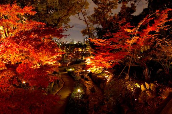 錦を纏う 徳川園 紅葉祭