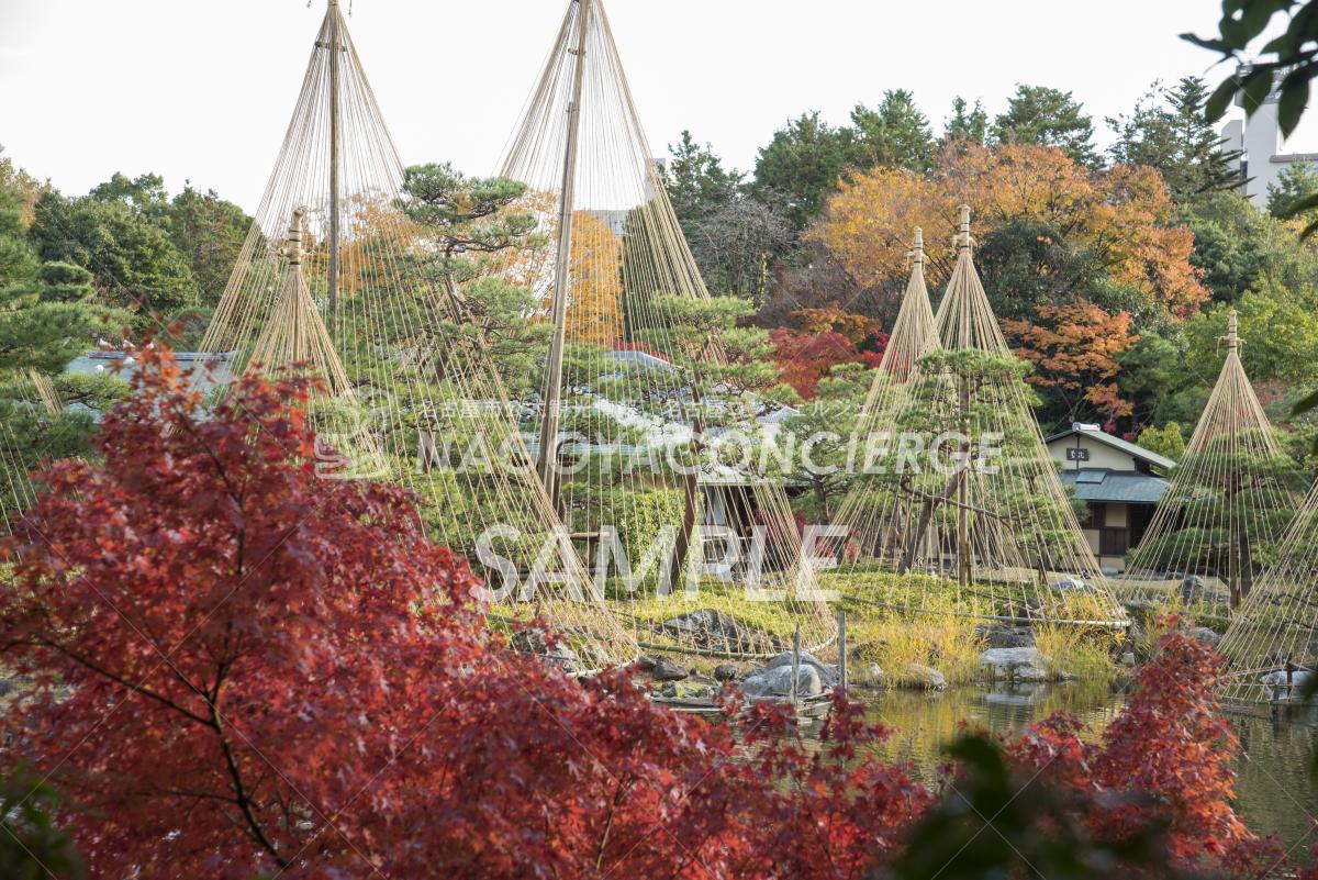 31.白鳥庭園　紅葉1