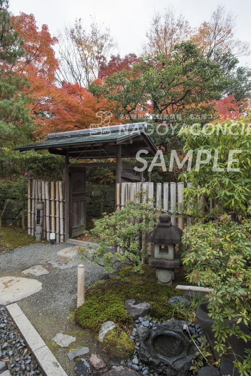 37.白鳥庭園 紅葉1