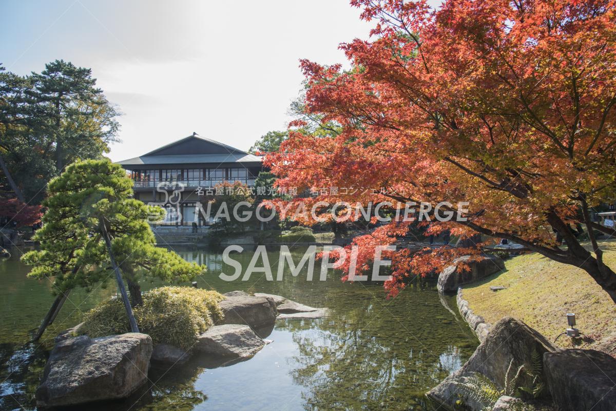 23.徳川園　龍仙湖　紅葉