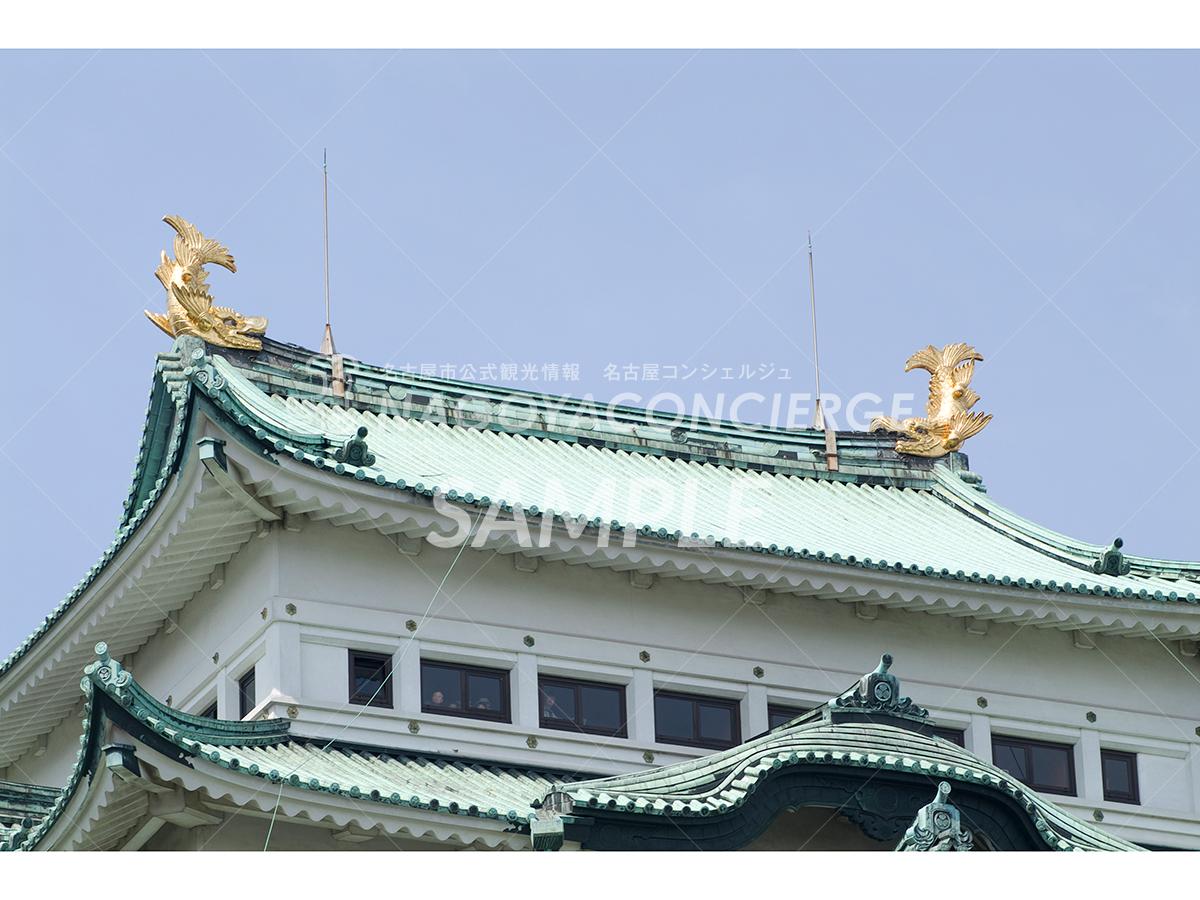 02.天守閣 金鯱 雌雄