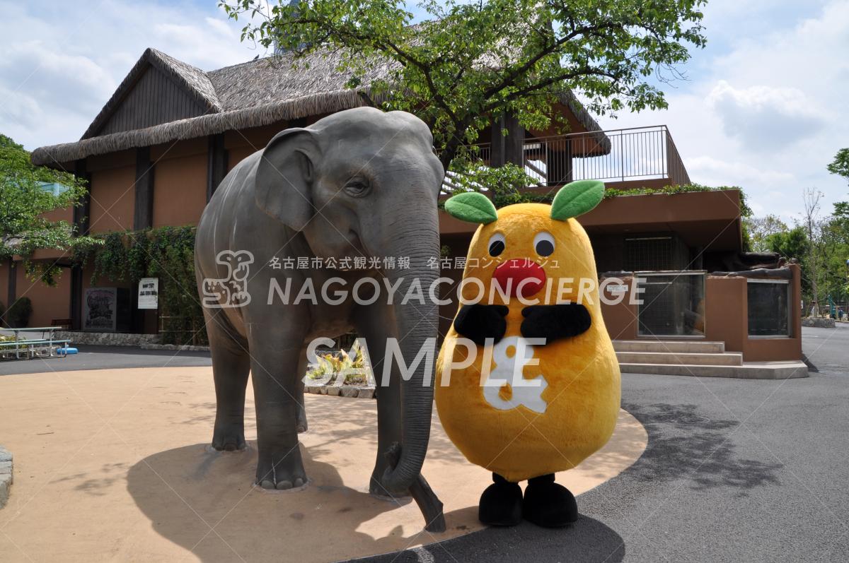 14.東山動植物園　ズーボ