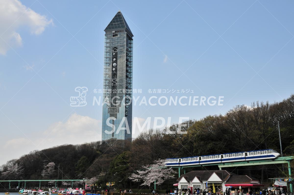 東山スカイタワーと桜1