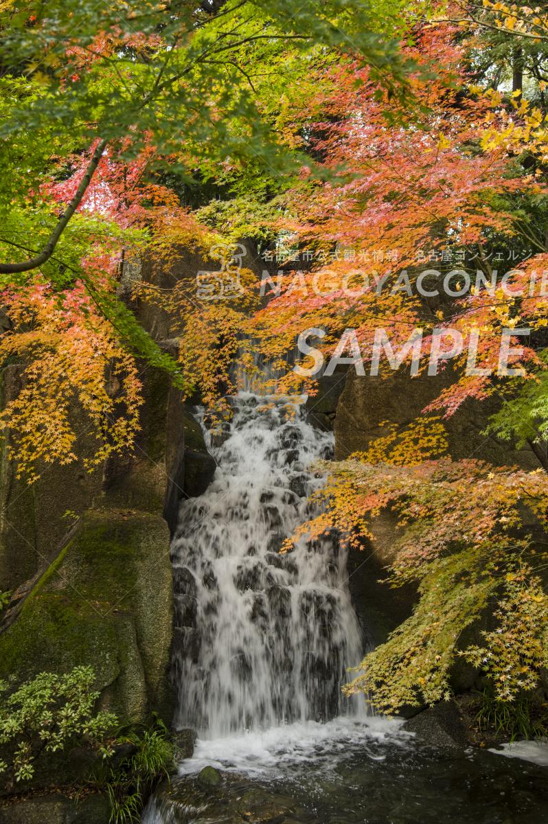 22.徳川園　大曽根の瀧　紅葉