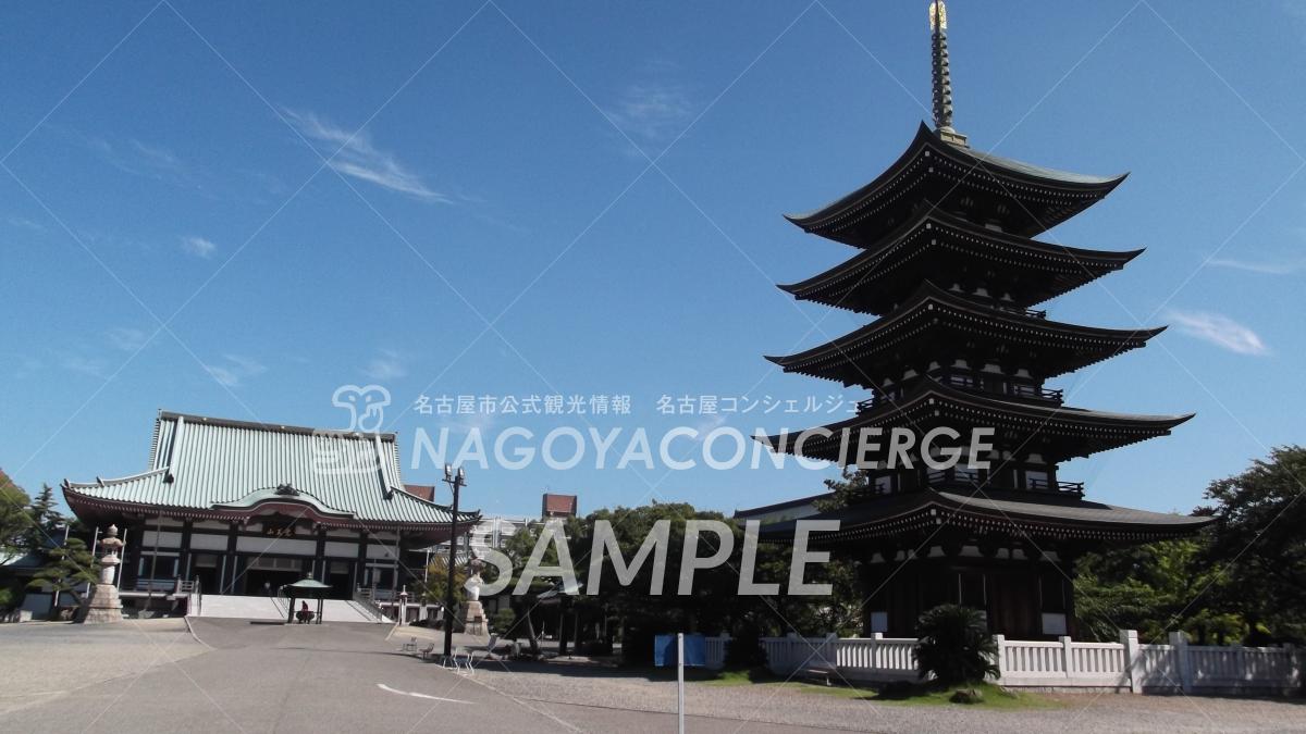 日泰寺 本殿と五重塔