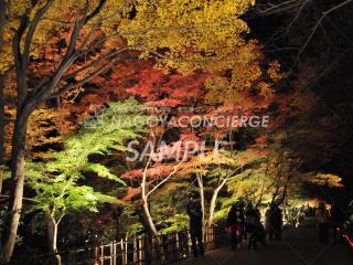 19.東山動植物園　紅葉2