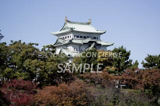 秋の名古屋城1