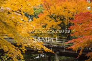 21.徳川園　虎仙橋　紅葉2